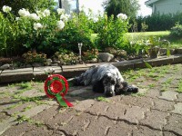 /album/ilpo/elo13-035-jpg/